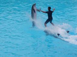 Resize of P21010094.JPG